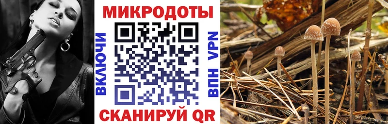 Галлюциногенные грибы мухоморы  мега онион  Ясный  как найти закладки 